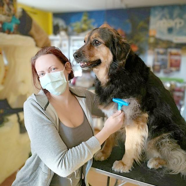 "Auf den Hund gekommen": Die 31-jährige Julia Hollaus aus Neustift betreibt die Tierhandlung "Pfotenoase" in Petzenkirchen. | Foto: Tanja Hofer