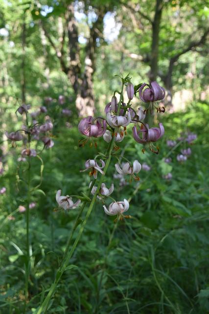 Foto: Martin Wurglits