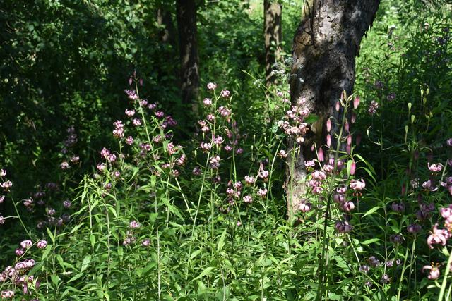 Foto: Martin Wurglits