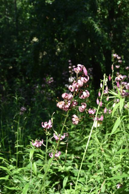 Foto: Martin Wurglits