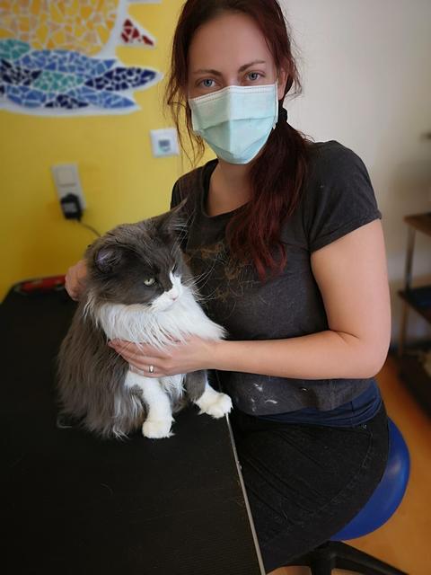 Auch Katzen werden in der "Pfotenoase" bestens betreut. | Foto: Tanja Hofer