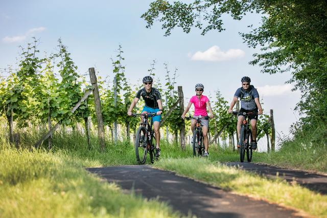 Am Rad oder zu Fuß: Der Tourismus in der Oststeiermark und dem Thermen- und Vulkanland nimmt wieder Fahrt auf. | Foto: Thermen- &amp; Vulkanland Steiermark