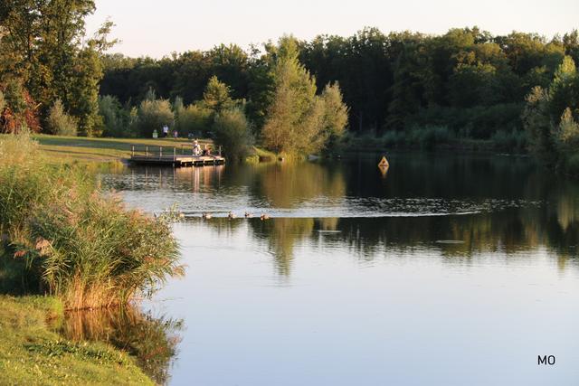 Auwiesen Gössendorf