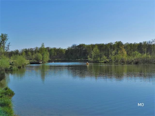 Naherholungsgebiet Auwiesen, Gössendorf