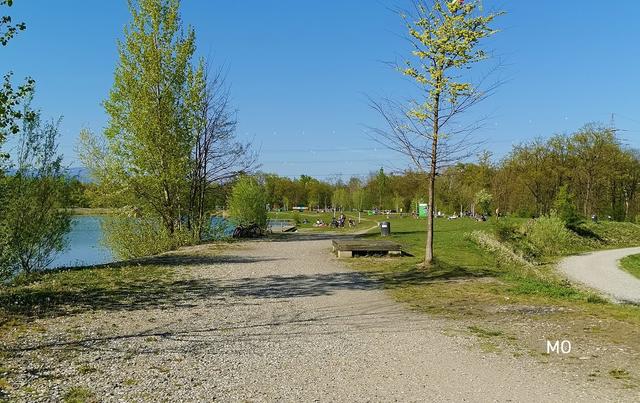 Auwiesen Gössendorf