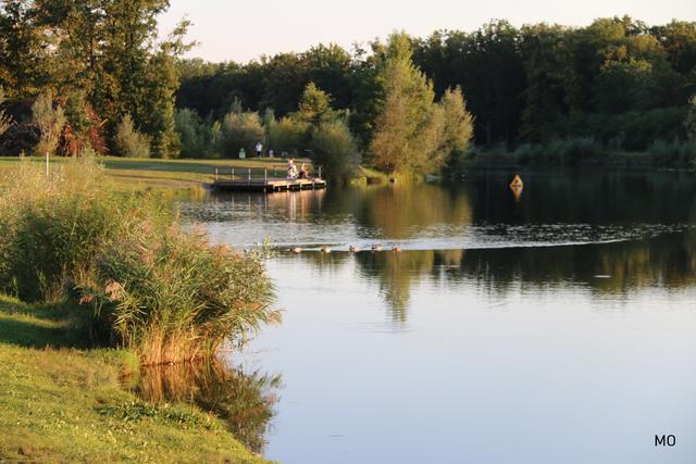 Auwiesen Thondorf