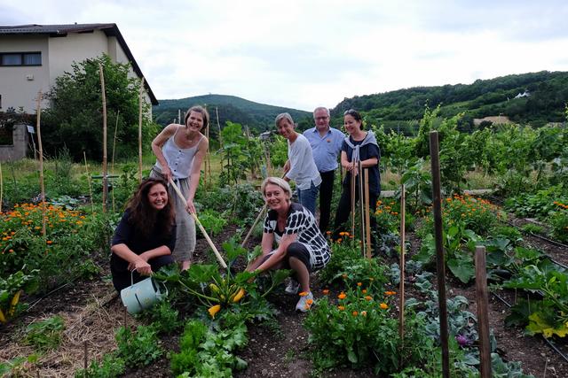 Ob Zucchini, Paradeiser, Erbsen oder Ringelblumen – der zunehmenden Kreativität der Hobbygärtner sind keine Grenzen gesetzt -  Initiatorin Johanna Gebeshuber, Elke Lindner, Claudia Renz und Bürgermeister Ferdinand Köck, vorne sind Ruth Pomelek und Gabi Pinter zu sehen. 
 | Foto: C. Reisinger