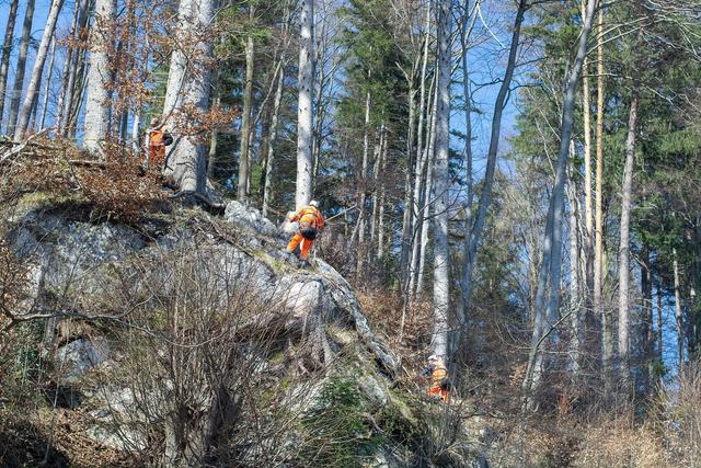 Schluchtstrecken und felsiges Gelände werden jährlich von einer Fachfirma, die vom Land Tirol beauftragt wird überprüft.