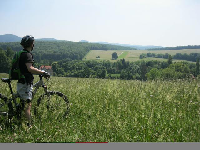 Nur Wiesen und Wälder gibt es im Gütenbachtal.