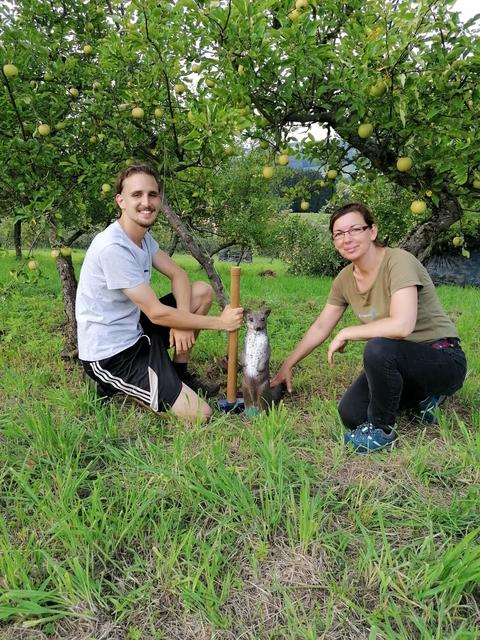 Die Mitglieder des Blasrohr- und Bogenschützenvereines Thermenland errichten in Leitersdorfberg den ersten Blasrohrparcours der Steiermark.