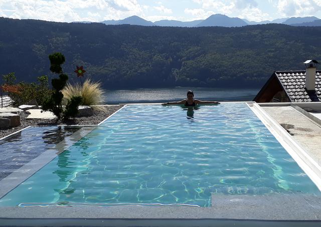 Ein Pool im eigenen Garten macht den Sommer perfekt. Mit einer Überdachung kann die Badesaison verlängert werden.