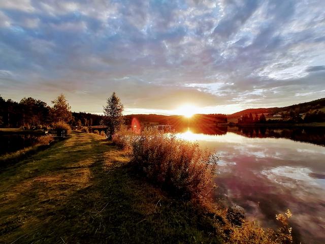 Der Frauenwieserteich im Waldviertel ist ein echter Geheimtipp!
