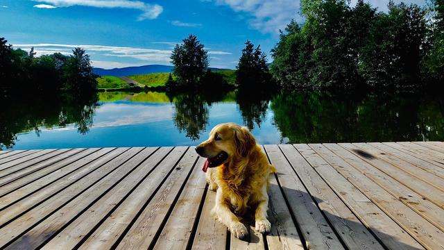 Hund Benno findet den Drudenteich ebenso toll wie sein Frauchen!