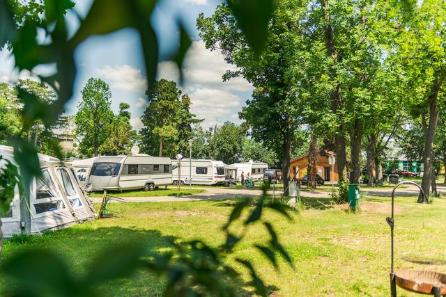 Im Herbst 2021 wird aus dem Campingplatz Süd ein Park für alle Liesinger