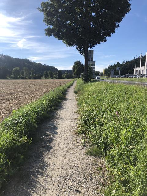 Ein Weg unterhalb der B127 führt von Walding ins Rodlbad.