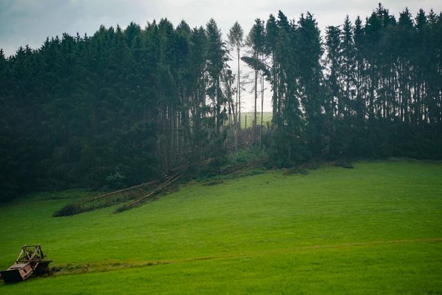 Foto: Daniel Scharinger