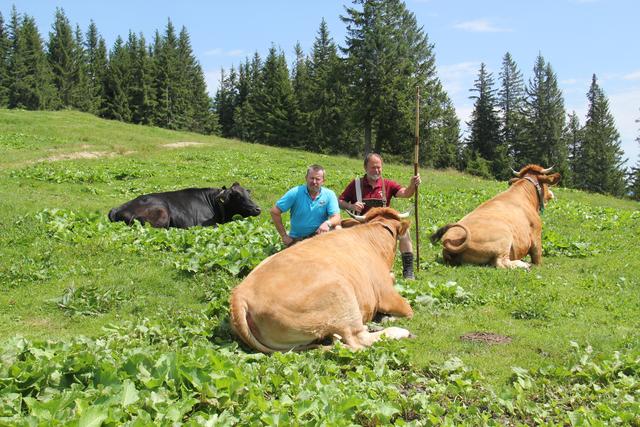 Foto: Eva Dietl-Schuller