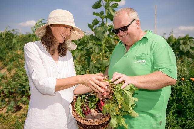 Landwirtin und Preisträgerin Eva Glatzer und Walter Schmutterer vom ADEG Schmutterer in Sommerein ernten frisches Gemüse.