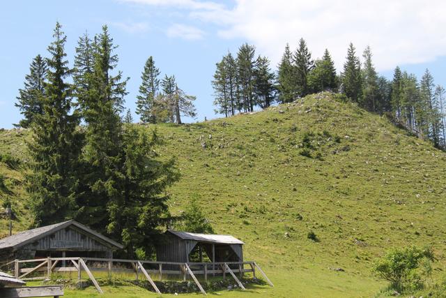 Foto: Eva Dietl-Schuller