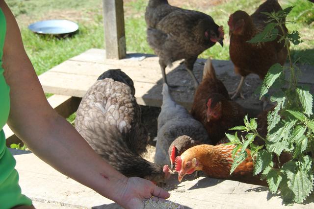 Foto: Eva Dietl-Schuller