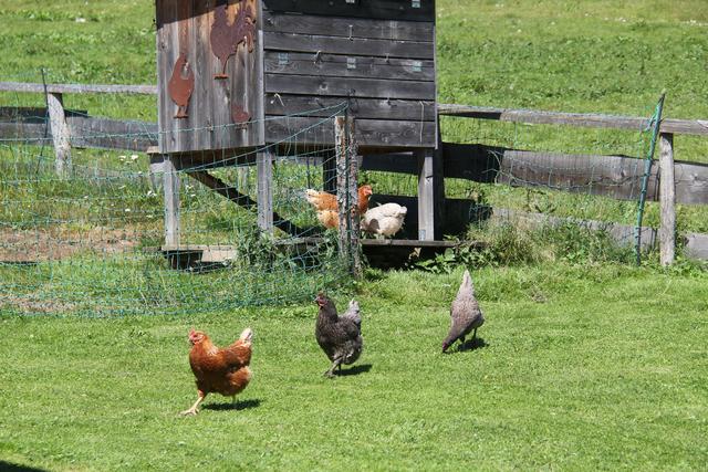 Foto: Eva Dietl-Schuller