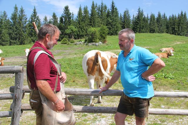 Foto: Eva Dietl-Schuller