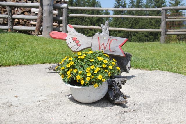 Foto: Eva Dietl-Schuller