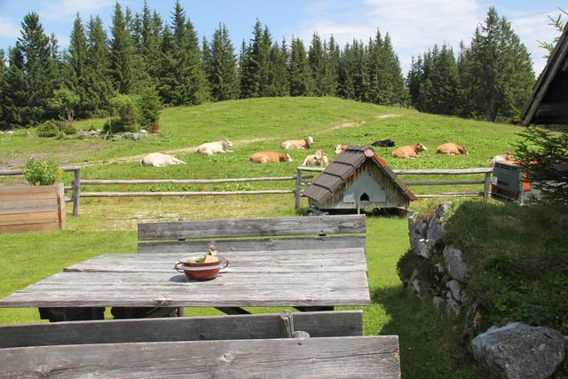 Foto: Eva Dietl-Schuller