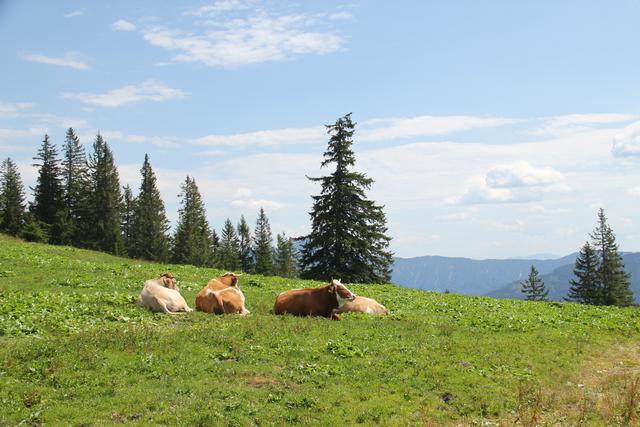 Foto: Eva Dietl-Schuller