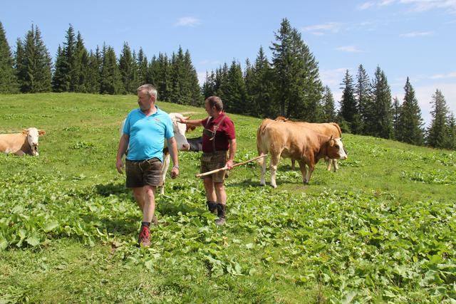 Foto: Eva Dietl-Schuller