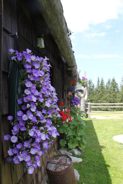 Foto: Eva Dietl-Schuller