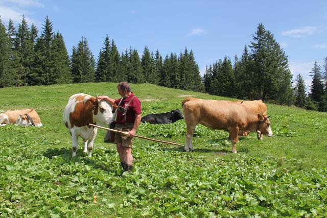 Foto: Eva Dietl-Schuller