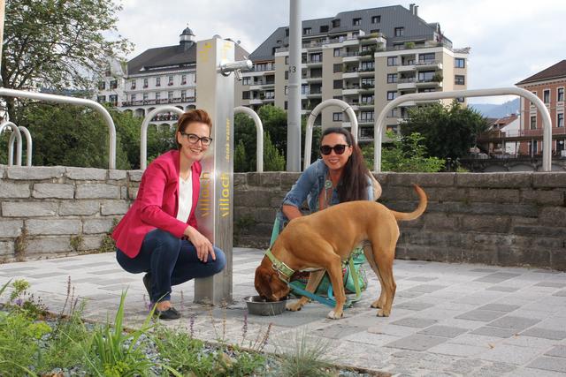 Das Foto, das aufregte. Die Wasserreferentin Katharina Spanring posiert mit Hündin und Frauchen.  | Foto: Stadt Villach/Astrid Kompan
