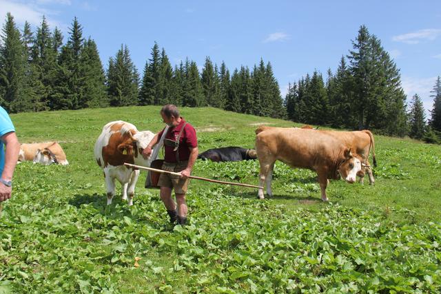 Foto: Eva Dietl-Schuller