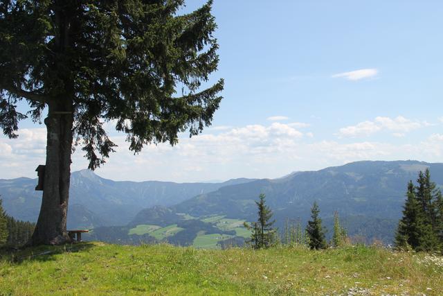 Foto: Eva Dietl-Schuller