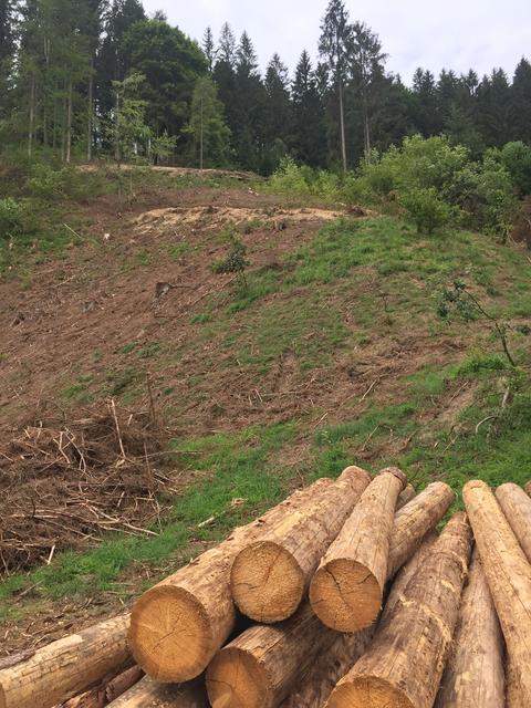 Schadholz sollte abtransportiert werden. | Foto: Land OÖ/Landesforstdienst