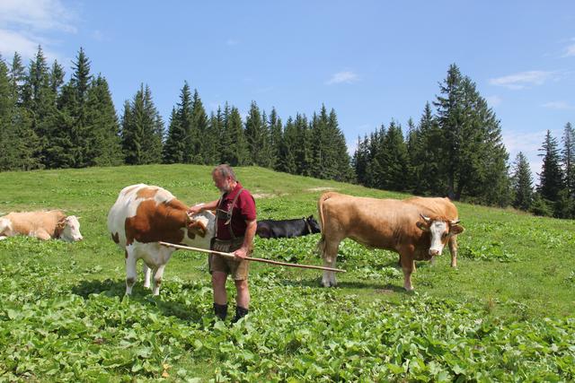 Foto: Eva Dietl-Schuller