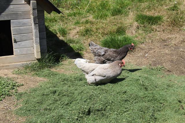 Foto: Eva Dietl-Schuller