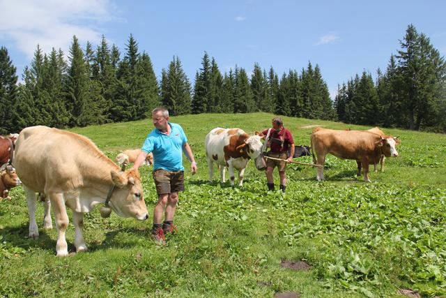 Foto: Eva Dietl-Schuller