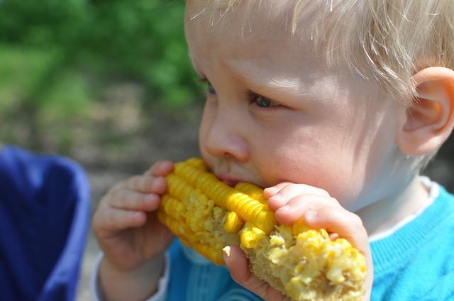Auch vegane Ernährung ist bei Kindern möglich, allerdings bedingt dies laut Familienflüsterer Philip Streit besondere Achtsamkeit.