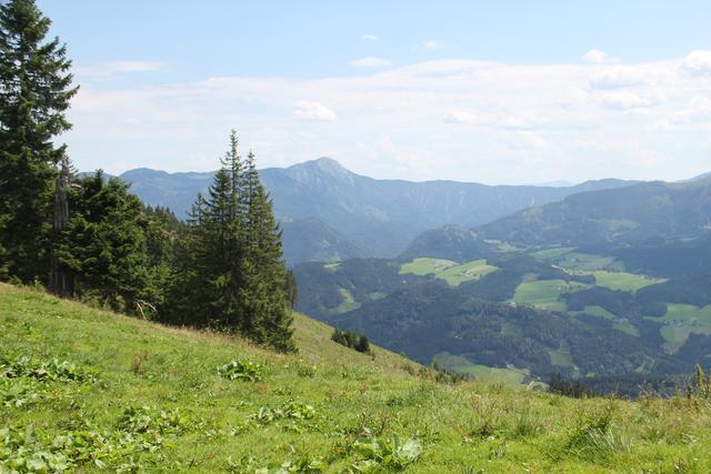 Foto: Eva Dietl-Schuller