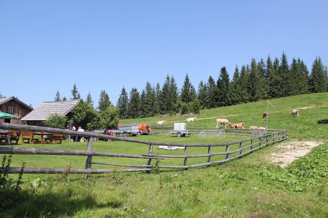 Foto: Eva Dietl-Schuller