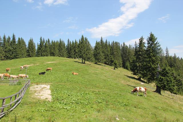 Foto: Eva Dietl-Schuller