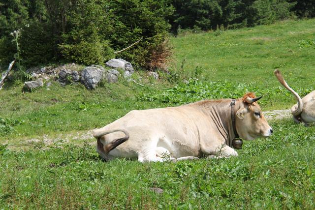 Foto: Eva Dietl-Schuller