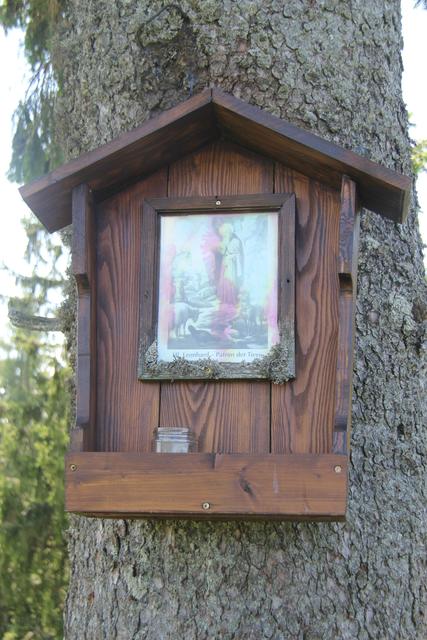 Foto: Eva Dietl-Schuller