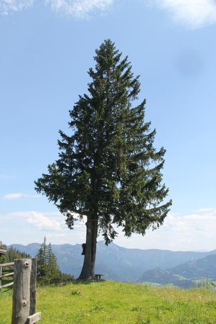 Foto: Eva Dietl-Schuller