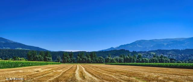 .........die Arbeitsfelder der Landwirte......