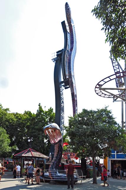 Die Schwarze Mamba in Aktion