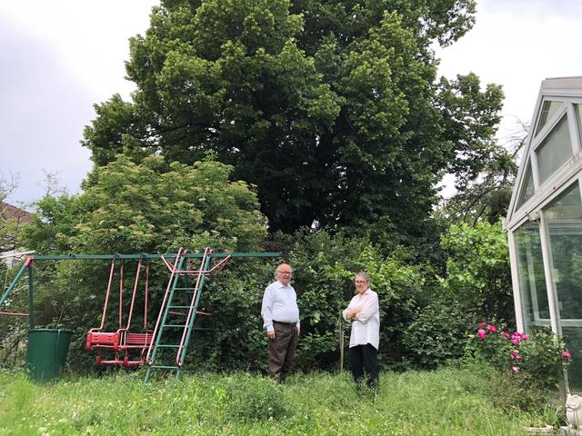 Peter und Anna Liebhard wollen die Linde schützen.