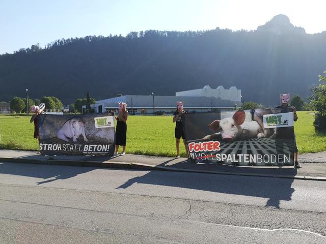 Die Tierschützer demonstrierten gegen die Schweinehaltung eines Betriebs.